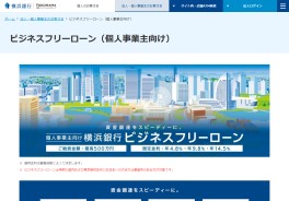 ビジネスフリーローン（個人事業主向け）